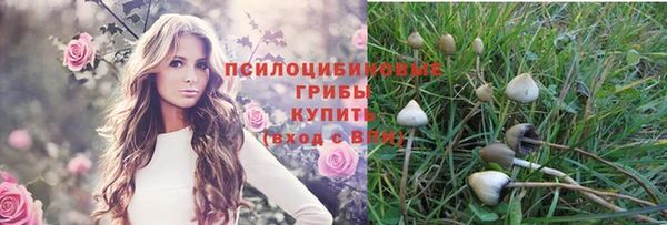 бутират Арсеньев
